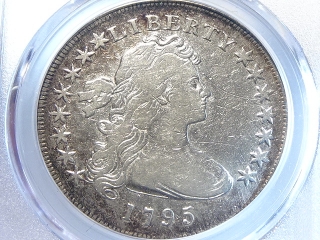 1795 Draped Bust Dollar F Detail PCGS